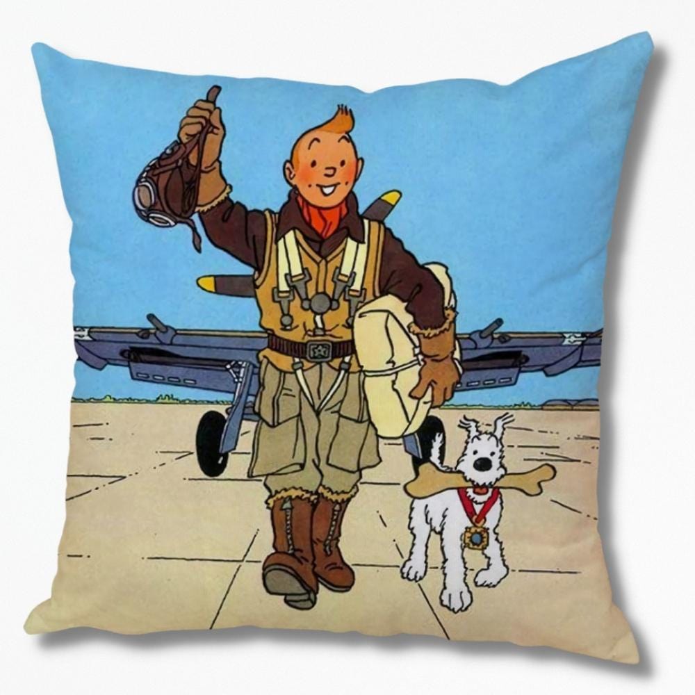 Housse Coussin de Décoration | NirvanaPillow™ 45 X 45 cm / 5