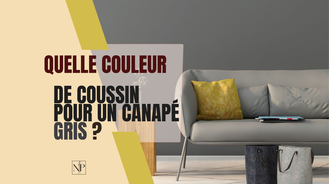 Quelle Couleur De Coussin Pour Un Canapé Gris ?