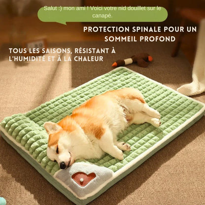 Coussin pour Chien Indestructible <br>Dogzeal