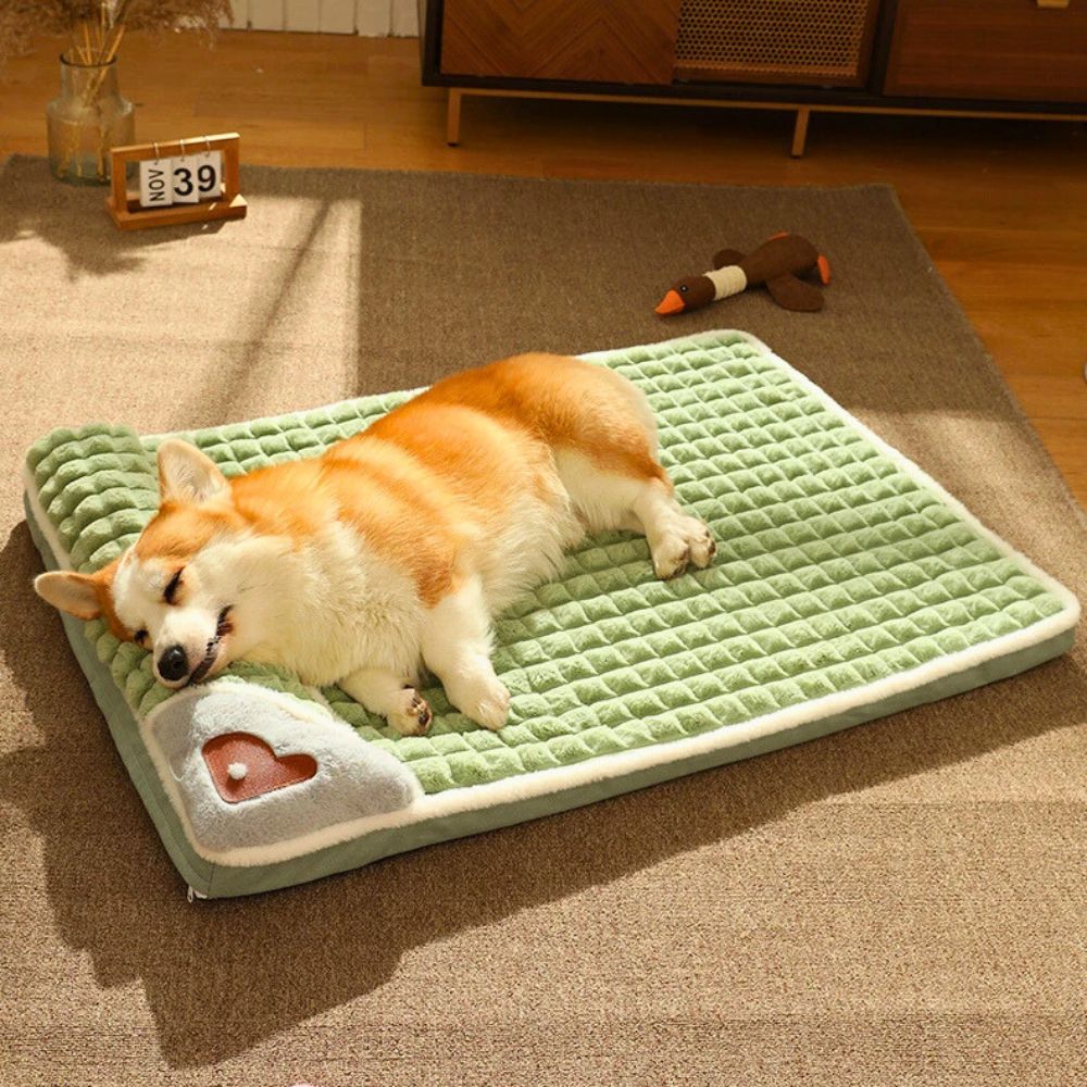 Coussin pour Chien Indestructible <br>Dogzeal