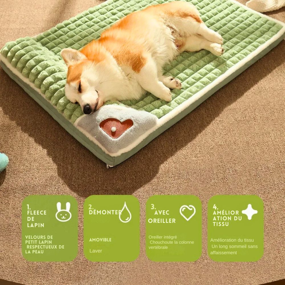 Coussin pour Chien Indestructible <br>Dogzeal