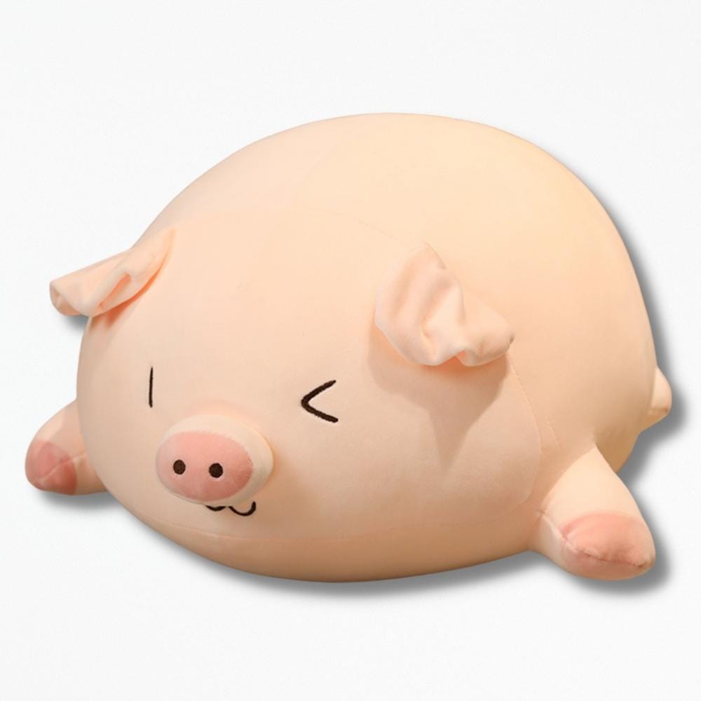 Coussin Décoratif Grande Taille | NirvanaPillow™ 40 cm / 2