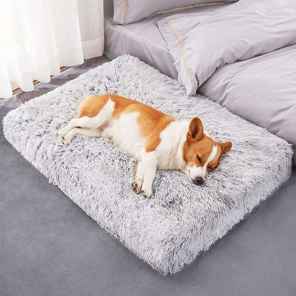 Coussin Déhoussable pour Chien | NirvanaPillow™