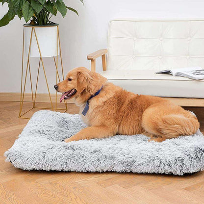Coussin Déhoussable pour Chien | NirvanaPillow™