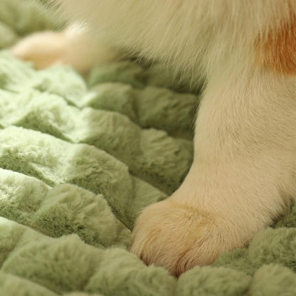 Coussin Indestructible pour Chien | NirvanaPillow™