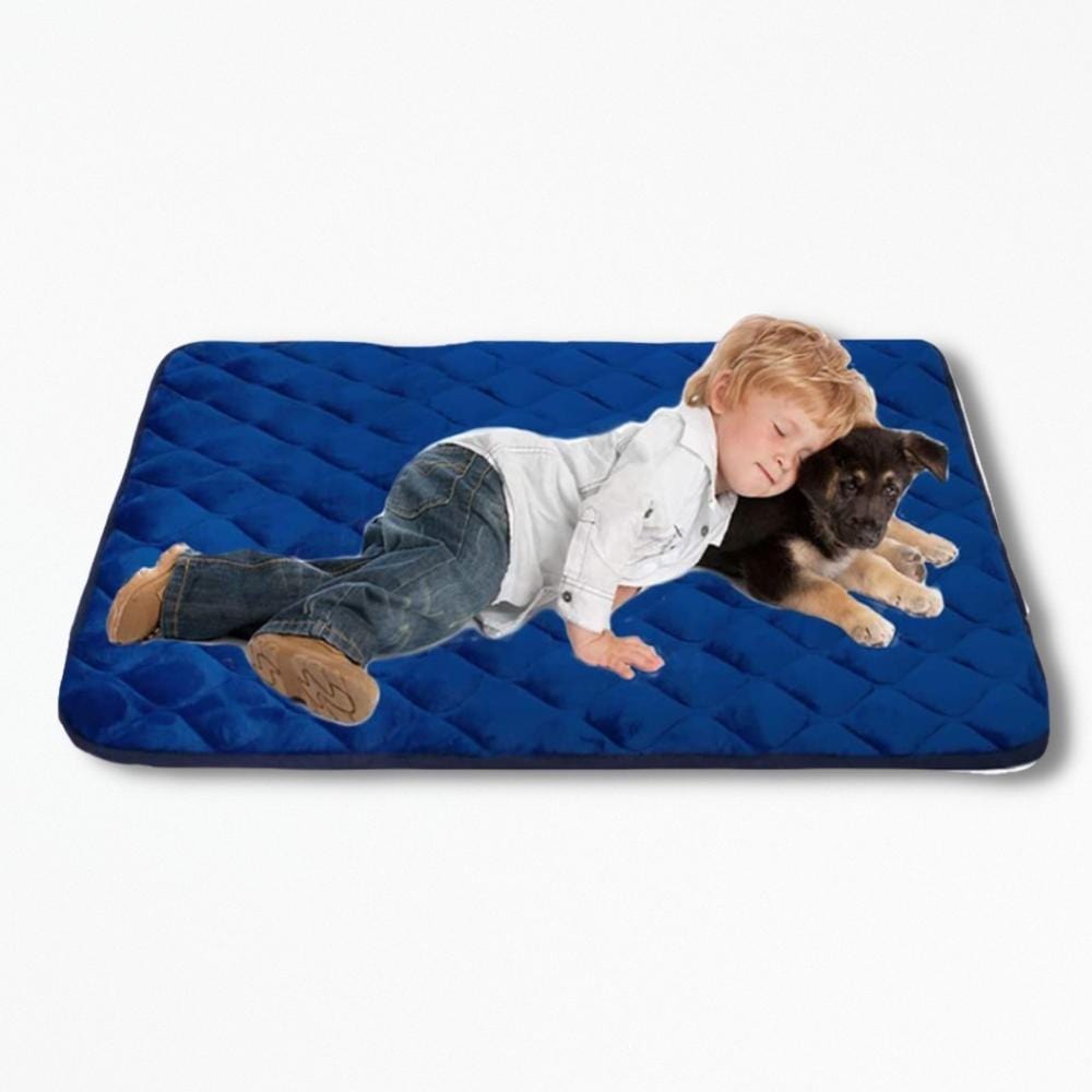 Coussin Orthopédique pour Chien | NirvanaPillow™ 55 x 33 cm / Bleu