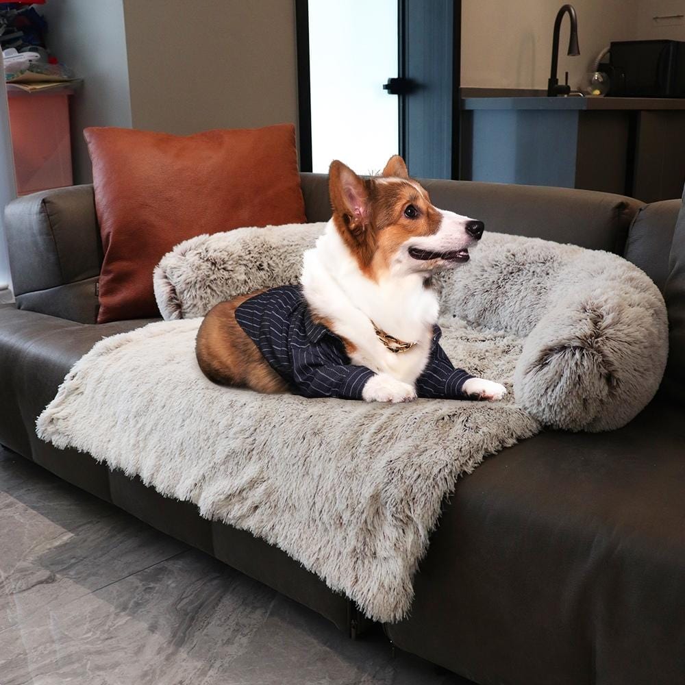 Coussin pour Chien | NirvanaPillow™