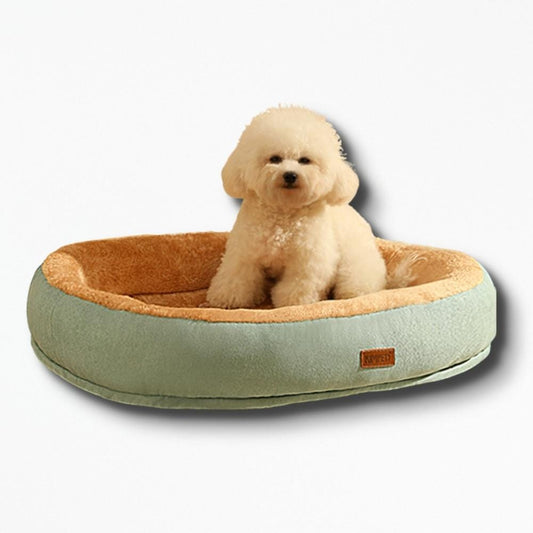 Coussin Pour Grand Chien | NirvanaPillow™ 50 x 40 cm / Vert