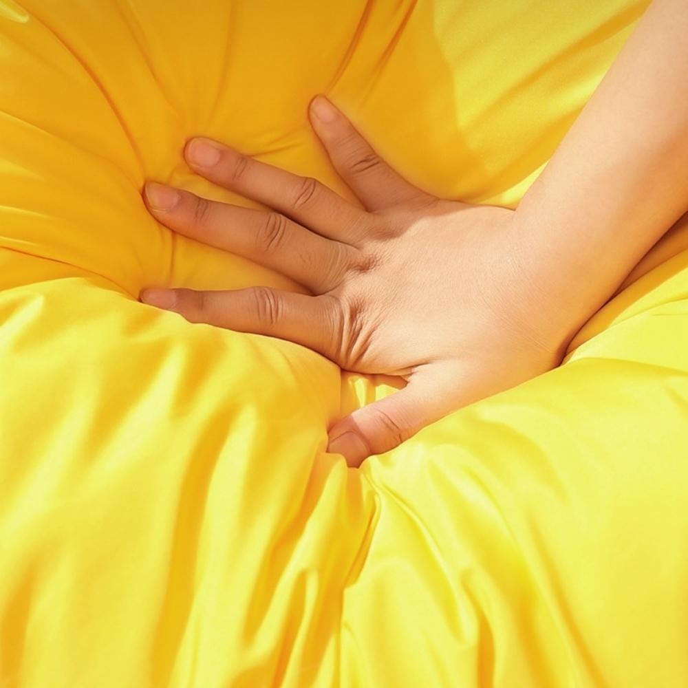 Coussin Rafraichissant pour Chien | NirvanaPillow™